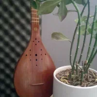 فروش سه تار فرشاد اسکندری