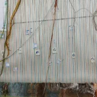 تابلوفرش|تابلو فرش|ورامین, شهرک مدرس|دیوار