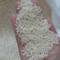 برنج هاشمی با تخفیف ویژه(محصول شخصی )