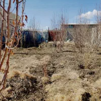 باغ-چهاردیواری-600-متری-با-مجوز-رسمی-درختان-میوه