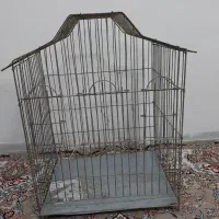 قفس کاسکو،مکائو و طوطی سانان درشت جثه