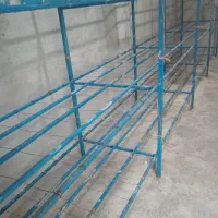 طبقه بندی قارج