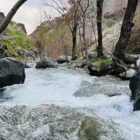 همسفر