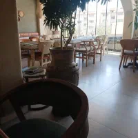 ویتر،سالنکار،کانتر