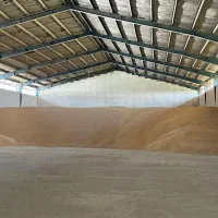 فروش بذر اصلاح شده ارقام پیشگام ،حیدری،زرینه|خدمات باغبانی و درختکاری|اقلید, |دیوار