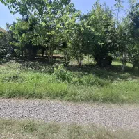 فروش زمین مسکونی 450متری /جاده کیاشهر /تونل جنگلی|فروش زمین و ملک کلنگی|کیاشهر, |دیوار