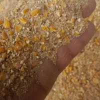 تولید انواع پلیت دامی ومرغی