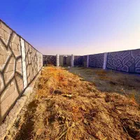 باغچه-انگوری-خوش-قواره-سند-دار