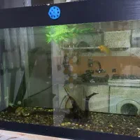 آکواریم شیشه خم سالم