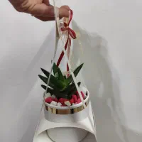 باکس گل|گل و گیاه طبیعی|تهران, یافت‌آباد|دیوار