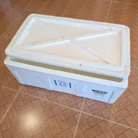 یخدان یونولیتی مسافرتی بزرگ