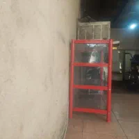 ویترین درحد نو دو ماهه استفاده  شده