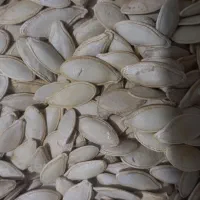 خرید فروش تخمه کدو، هندوانه، آفتابگردان