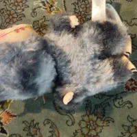 عروسک لبوبو سالم سکرت|اسباب‌بازی بچه|قائم‌شهر, |دیوار