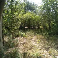 زمین قطعه ۲۵۰و۳۰۰ متری/ با پروانه ساخت/گلسرک|فروش زمین و ملک کلنگی|سنگر, |دیوار