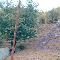 فروش ۱۰۰متر زمین آلاشت|فروش زمین و ملک کلنگی|آلاشت, |دیوار