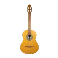 گیتار کلاسیک پارسی P70انتخابی مناسب شروع