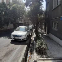 پاسداران.۱ از ۴ تکواحدی.