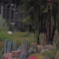 استخدام در گلخانه به صورت شبانه روزی