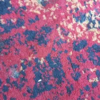 گم شدن شناسنامه