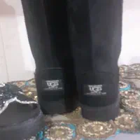 پوتین و صندل مجلسی و کفش