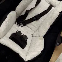 کالسکه و کریر دلیجان نو|کالسکه و لوازم جانبی|رودهن, |دیوار