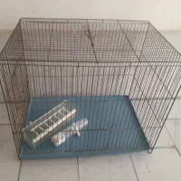 قفس ۶۰۰۰۰۰