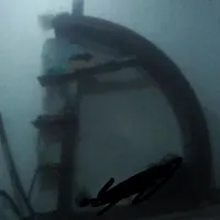 بوفه