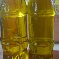 زیتون کنسروی بی. پرورده روغن زیتون مربای انجیر|خوردنی و آشامیدنی|کرج, حصارک بالا|دیوار