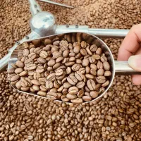 قهوه عربیکا کلمبیا سوپریمو