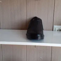 کفش مردانه|کیف، کفش، کمربند|داراب, |دیوار