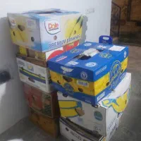 کارتن موزی و صندلی پلاستیکی