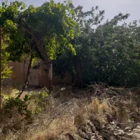 زمین ویلایی روستای جرجافک