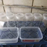 ظروف غذا و ادویه