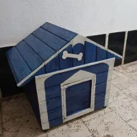 لانه سگ|لوازم جانبی حیوانات|آستانه اشرفیه, |دیوار