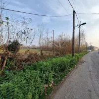 زمین-داخل-طرح-هادی