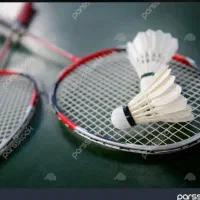 پارتنر ورزشی بدمینتون
