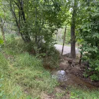 باغ نزدیک روستا زرجه‌بستان