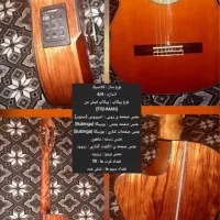 گیتار کلاسیک پیکاپدار واشبرن به همرا کاور