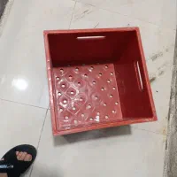 سبد