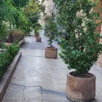گرین دکتر.صفرتاصد فضای سبز شما با گرین دکتر|گل و گیاه طبیعی|تهران, آجودانیه|دیوار