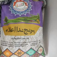 برنج فجر و ندا