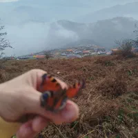 همراه کوهنوردی