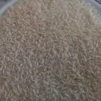 برنجهاشمی|خوردنی و آشامیدنی|رودبنه, |دیوار