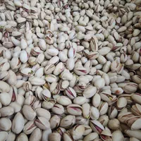 حراج پسته|خوردنی و آشامیدنی|اصفهان, مصلی|دیوار