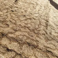 موکت|موکت|بزینه رود, |دیوار