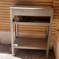 باربیکو ایستاده درب دار خونگی