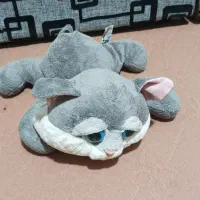 تعدادی عروسک خرسک|اسباب‌بازی بچه|زاهدان, |دیوار