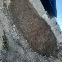 صاف شده..نرم.کود گوسفندی