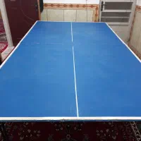 میز پینگ پونگ